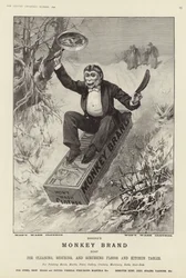 Pubblicità per il sapone Brookes Monkey Brand