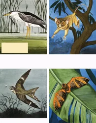 Tutti i tipi di creature notturne