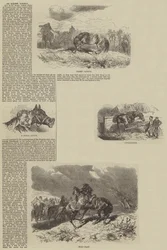 Una carriera equina