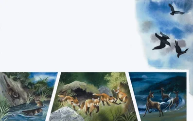 Animali che giocano