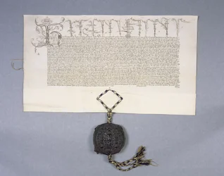 Archivio 11980: Carta che registra la concessione del re Enrico VI al New College di Oxford delle proprietà di Newton Longville, 1441