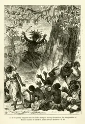 Come spesso accade che le signore non vadano d