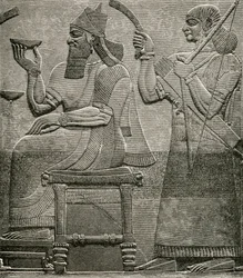 Ashur-nasir-pal II, da un bassorilievo al British Museum, da The Worlds Inhabitants di G.T. Bettany, pubblicato 1888