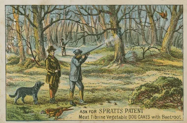 Chiedi del brevetto Spratts