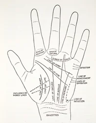 Linee di base e linee minori della mano