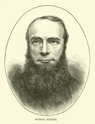 Vescovo Steere