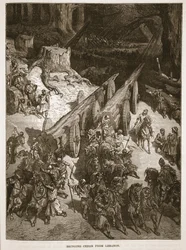 Portare cedro dal Libano