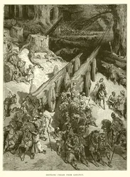 Portare il cedro dal Libano