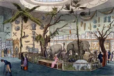 Museo di Bullock, 22 Piccadilly, Londra, da Ackermanns Repository of Arts, 1809
