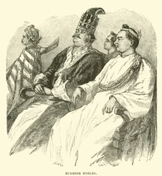 Nobili birmani