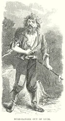 Bush-Ranger fuori dalla fortuna (incisione)