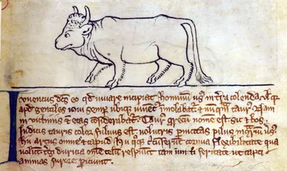 Vitello, dal Bestiario