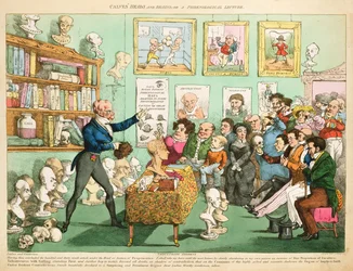 Teste e cervelli di vitello; o una lezione di frenologia, 1826