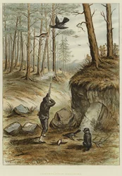 Caccia al gallo cedrone (cromolitografia)