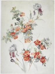 Design del tappeto
