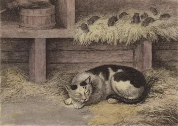 Gatto e topi in un fienile (incisione colorata)