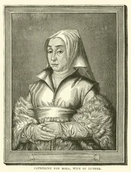 Caterina von Bora, Moglie di Lutero (incisione)