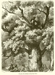 Carlo II nascosto nella quercia