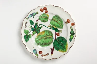 Piatto di Chelsea decorato con illustrazione botanica di noci, insetti e foglie, 1755