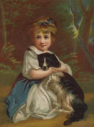 Amici