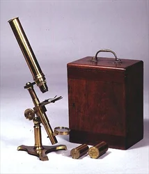 Microscopio monoculare composto, realizzato da Amadio Optician, Londra, c.1860
