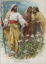 Considera i gigli (cromolitografia)