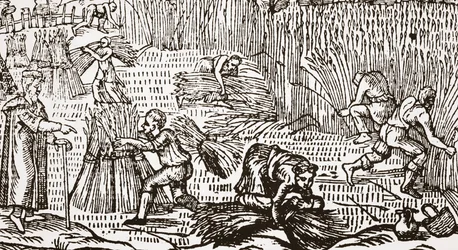 Xilografia contemporanea che mostra il raccolto