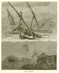 Pesca del corallo