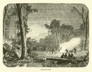 Corrobboree