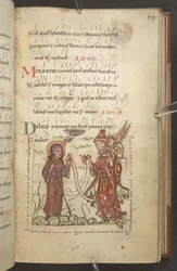 Cotone MS Caligola A XIV