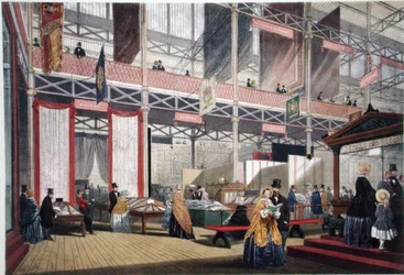 Cotone, da Dickinsons Comprehensive Pictures of the Great Exhibition of 1851, pubblicato nel 1854