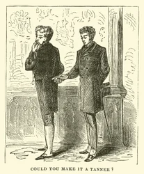 Potresti farlo un tanner?