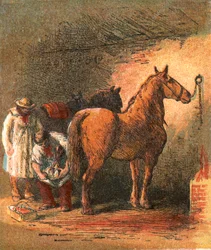 Maniscalco di campagna che ferra il cavallo del contadino