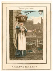 Covent Garden. Fragole