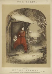 Copertina di Il Pettirosso