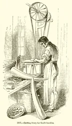 Taglio dell