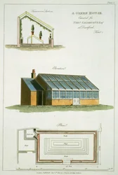 Progetto per una serra, eseguito per Thomas Caldecott a Dartford, Kent, 1806