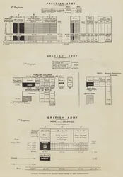 Diagrammi illustrativi del piano di riorganizzazione dell