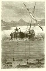 Immersione per le perle