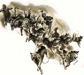 Disastro della slitta trainata da cani