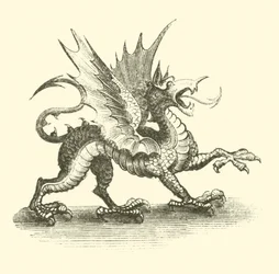 Drago
