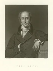 Conte Grey