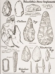 Primi strumenti in pietra, illustrazione da 
