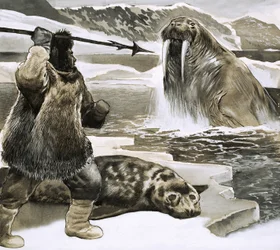 Inuit che attacca un tricheco