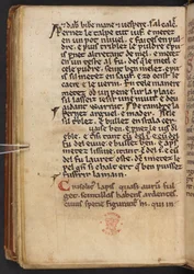 Estratti dalla Historia Anglorum di Enrico di Huntingdon, Cotton MS Titus D XXIV, f.132v (pergamena)