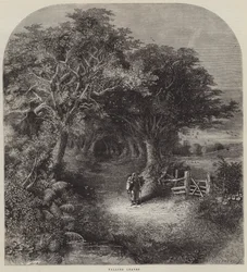 Foglie Cadenti