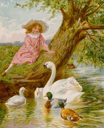 Animali domestici piumati