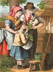 Nutrire il coniglio
