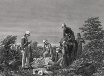 Trovare i colori del 24° Reggimento