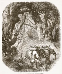 Fuga degli Europei dai Ribelli, illustrazione da Cassells Illustrated History of England